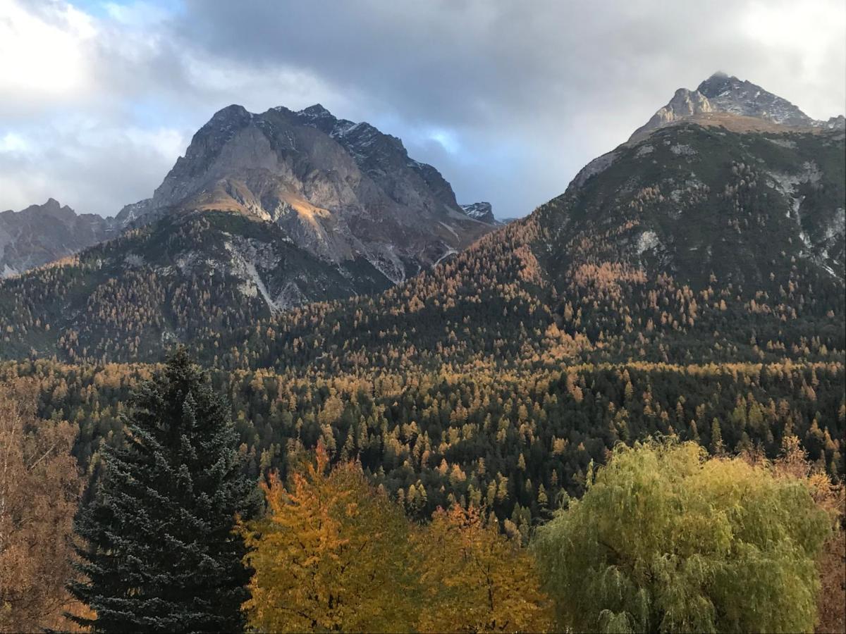 Aaa Chalet Allegra Rojo With Mountain View Scuol Luaran gambar